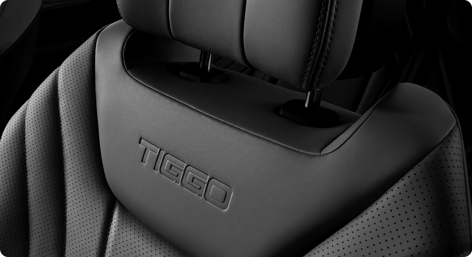 6premium-leather-seat.png