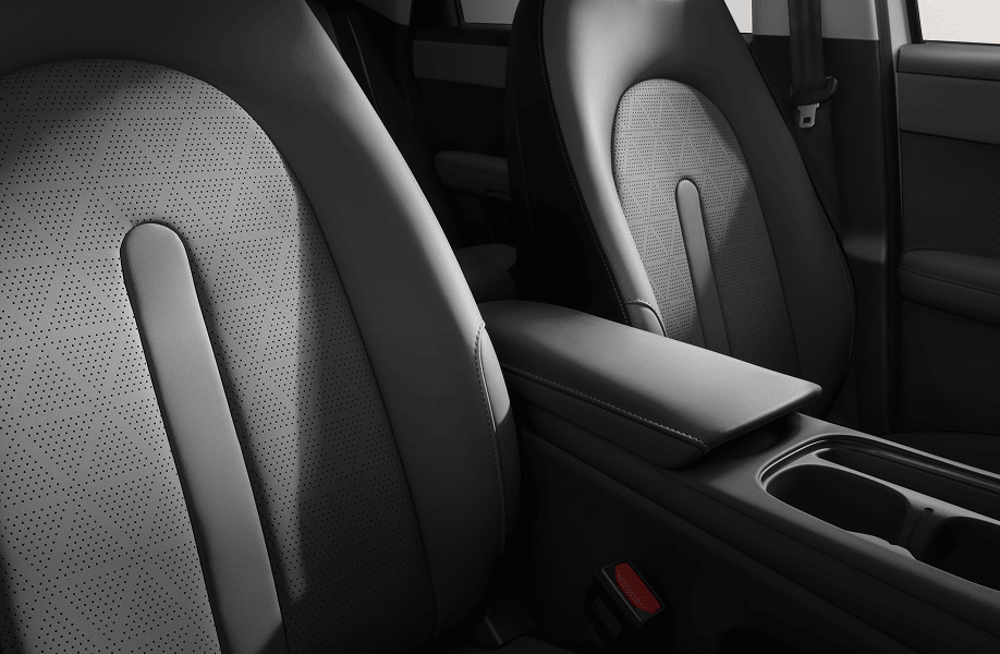 Leather-Seats-.png
